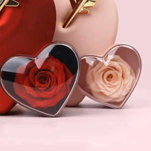 Eternal Heart Rose Jewelry Box for Valentine's Day birthday anniversary gift 4.8 ⭐⭐⭐⭐⭐